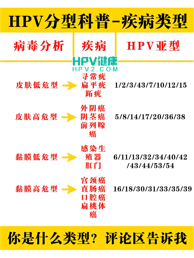【HPV阴性结果解读】低危型和高危型均阴性意味着什么？.jpg