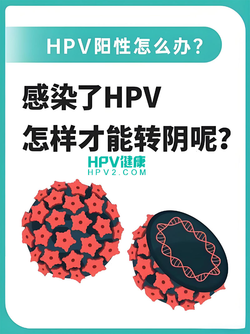 关于HPV转阴，你必须了解的五大要点！.jpg