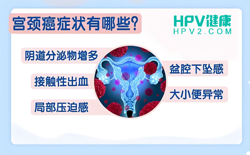 【子宫颈肉瘤与宫颈癌的区别】了解两种不同的妇科恶性肿瘤.jpg