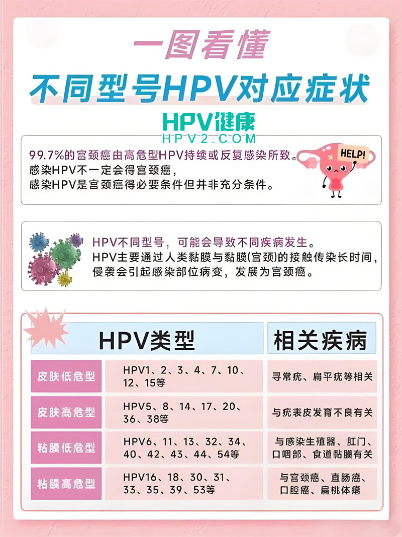 【HPV感染治疗】感染HPV是否必须手术？LEEP刀与宫颈锥切的区别及术后护理.jpg