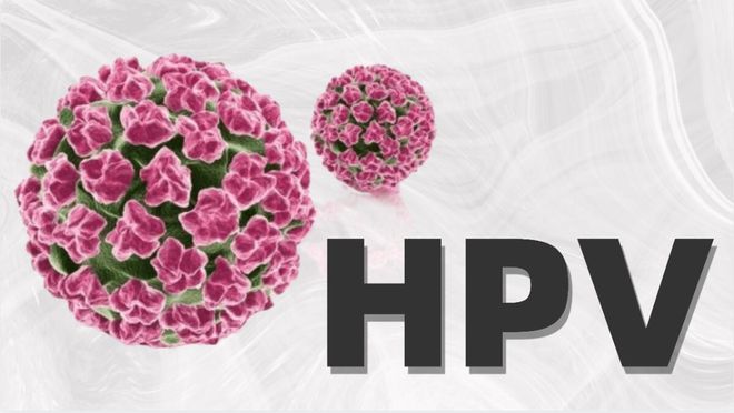 HPV病毒有哪些特点 生活中如何注意预防.jpg