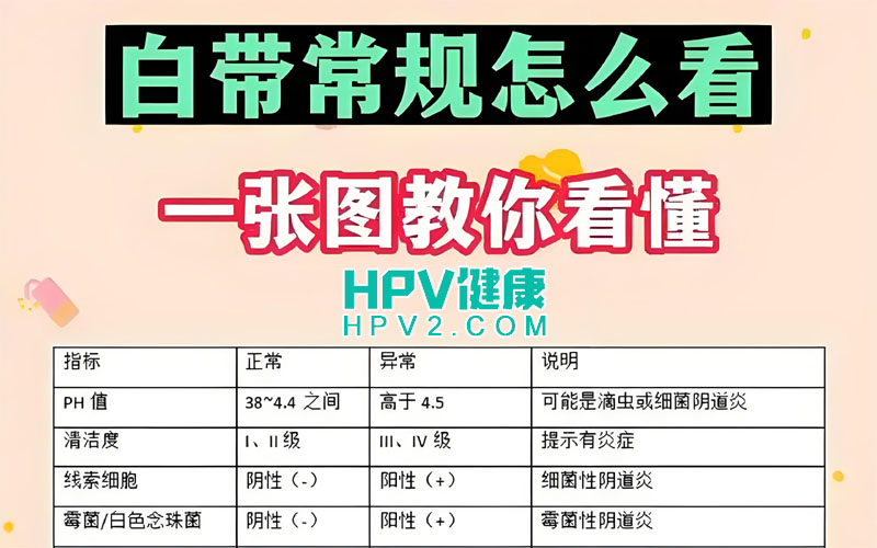 宫颈癌筛查：白带检查是否足够？.jpg