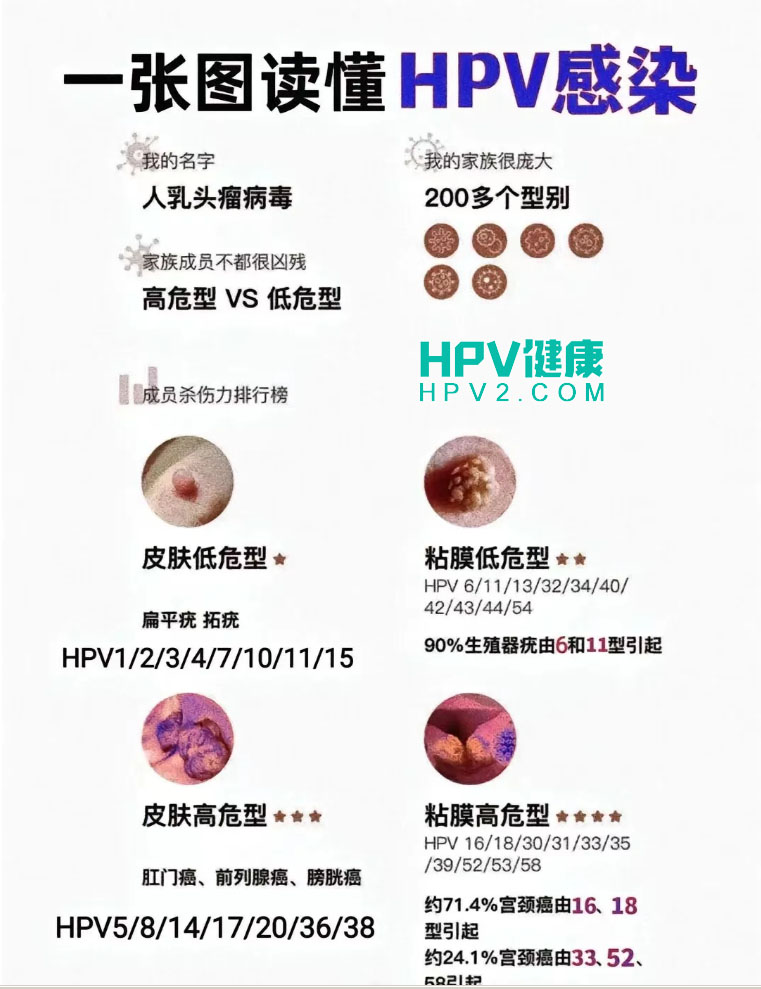 未标题-1 拷贝.jpg