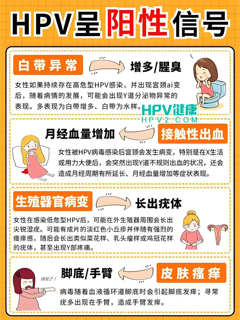 HPV58型阳性感染：传播途径、预防措施与治疗方案.jpg