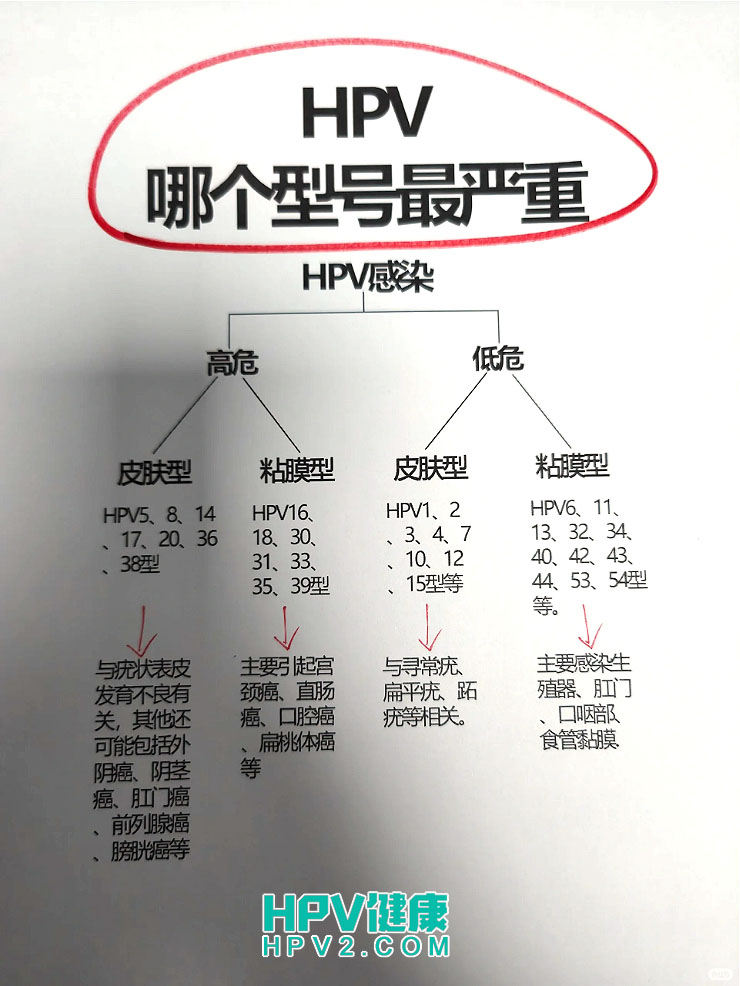 未标题-1 拷贝.jpg