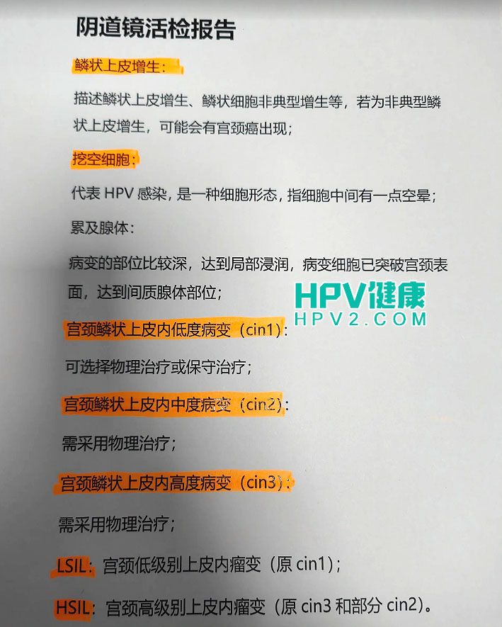 HPV和TCT，阴道镜活检报告单全面解读2.jpg