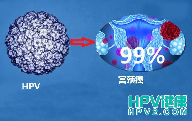 如何应对口腔HPV感染：治疗方法与免疫增强策略.jpg