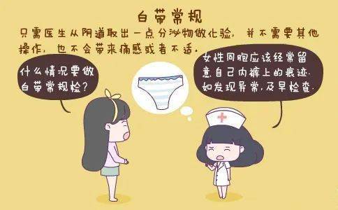 白带的作用有哪些呢.jpeg
