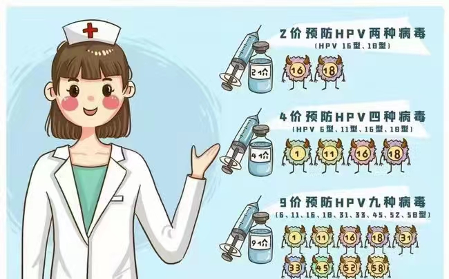 hpv疫苗不宜接种的人群.jpg