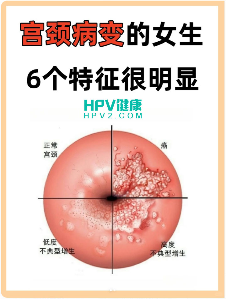 未标题-1 拷贝.jpg
