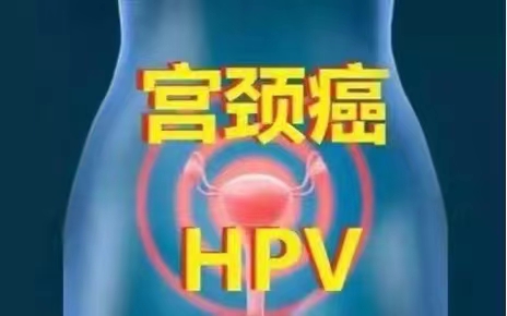宫颈癌‮易的‬发人群‮不，‬可掉‮轻以‬心.jpg