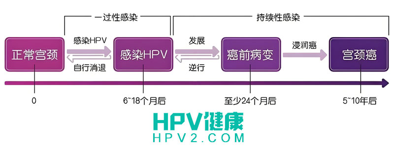 【宫颈癌传染性】与宫颈癌患者同床，是否会感染？.jpg
