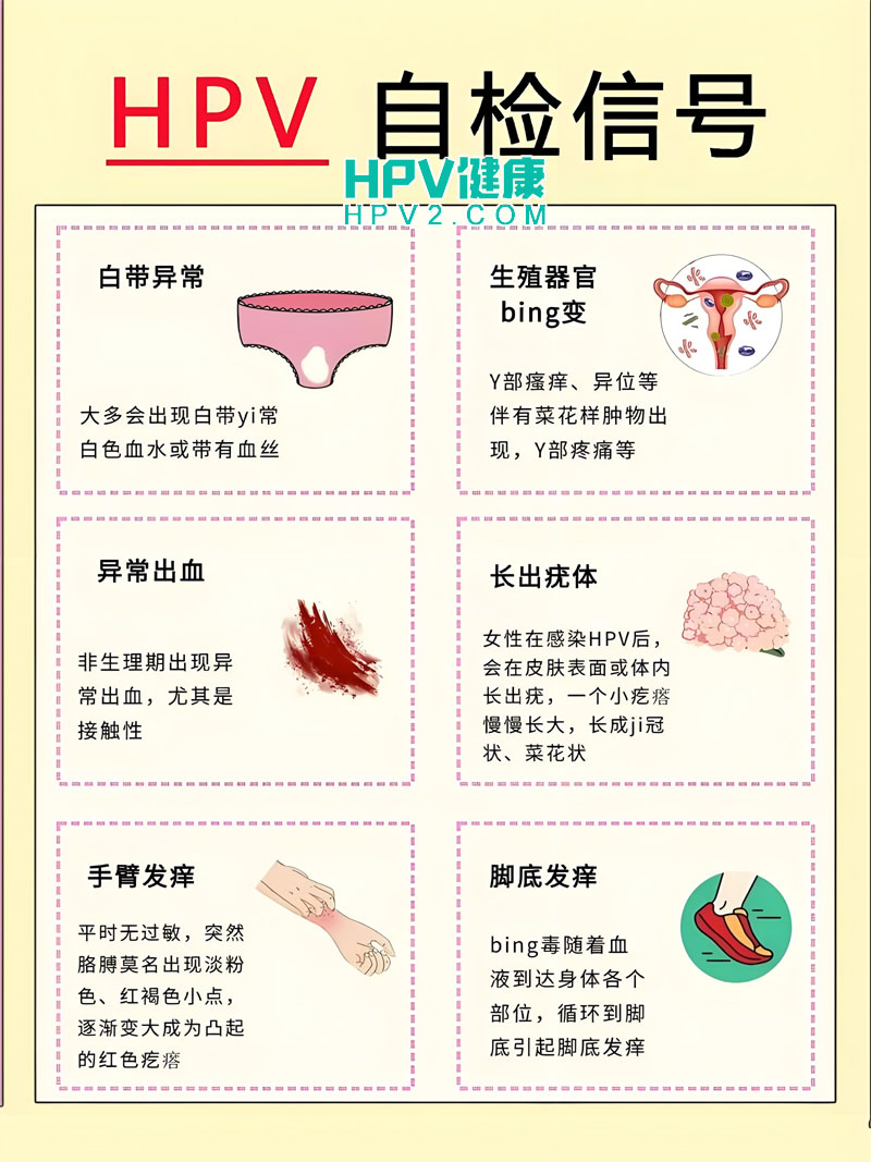 HPV59和HPV54阳性：感染风险、症状与治疗方法.jpg