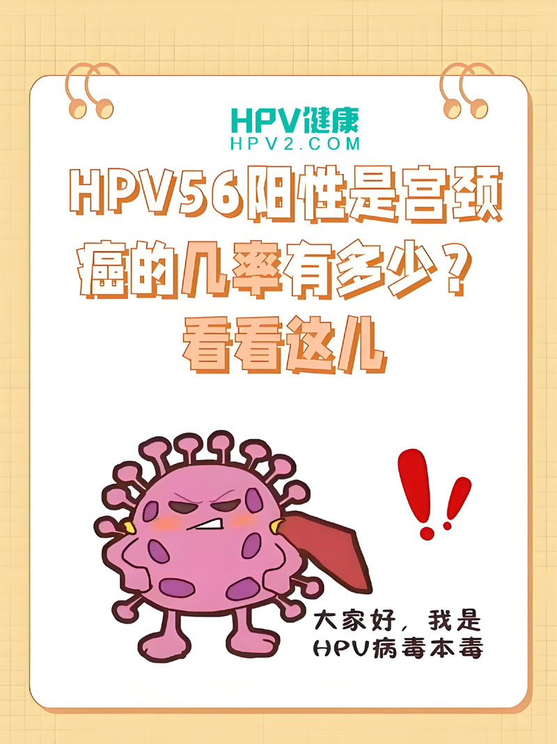 HPV56阳性体检结果解读：传播途径与防治建议.jpg