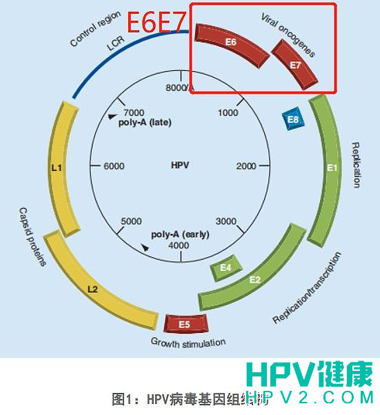 未标题-1 拷贝.jpg