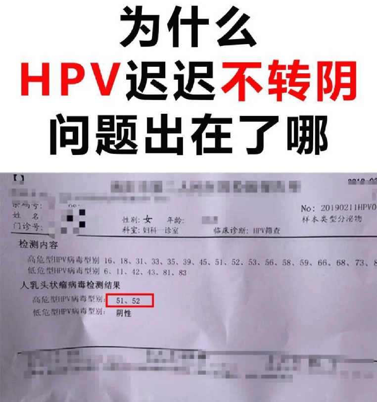 为什么HPV迟迟不转阴.png