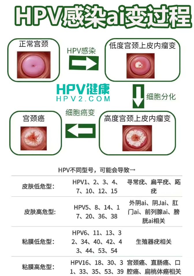 未标题-2 拷贝.png